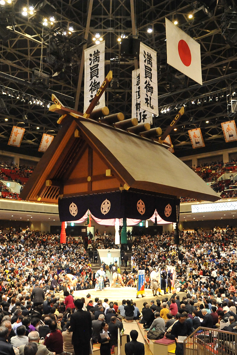 package with professional SUMO wrestling Nagoya